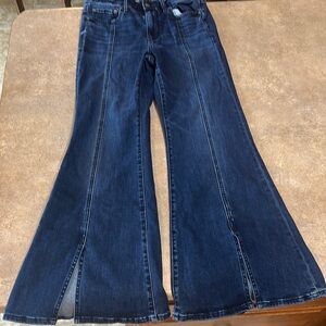 American Eagle Outfitters Navy Flare Jeans